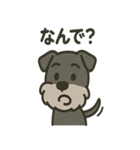 ごきげんシュナなスタンプ（個別スタンプ：16）