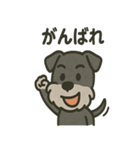 ごきげんシュナなスタンプ（個別スタンプ：17）