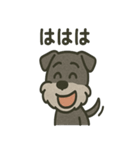 ごきげんシュナなスタンプ（個別スタンプ：19）