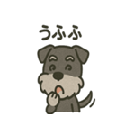 ごきげんシュナなスタンプ（個別スタンプ：20）