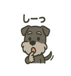 ごきげんシュナなスタンプ（個別スタンプ：21）