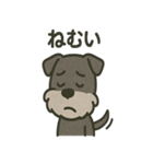 ごきげんシュナなスタンプ（個別スタンプ：24）