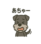ごきげんシュナなスタンプ（個別スタンプ：26）
