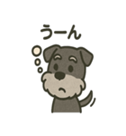 ごきげんシュナなスタンプ（個別スタンプ：27）