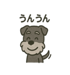 ごきげんシュナなスタンプ（個別スタンプ：28）