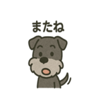 ごきげんシュナなスタンプ（個別スタンプ：33）