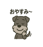 ごきげんシュナなスタンプ（個別スタンプ：35）