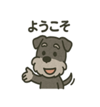 ごきげんシュナなスタンプ（個別スタンプ：36）