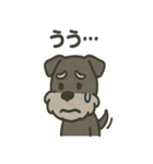 ごきげんシュナなスタンプ（個別スタンプ：37）