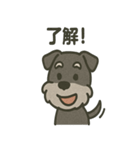 ごきげんシュナなスタンプ（個別スタンプ：38）