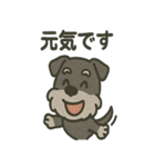 ごきげんシュナなスタンプ（個別スタンプ：39）