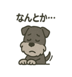 ごきげんシュナなスタンプ（個別スタンプ：40）