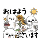 シーズー犬たち 2025 「シーズーまみれ」（個別スタンプ：1）