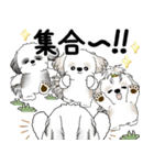 シーズー犬たち 2025 「シーズーまみれ」（個別スタンプ：2）