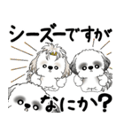 シーズー犬たち 2025 「シーズーまみれ」（個別スタンプ：5）