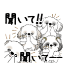 シーズー犬たち 2025 「シーズーまみれ」（個別スタンプ：9）