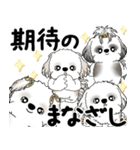 シーズー犬たち 2025 「シーズーまみれ」（個別スタンプ：11）