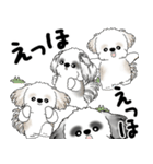 シーズー犬たち 2025 「シーズーまみれ」（個別スタンプ：17）