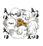 シーズー犬たち 2025 「シーズーまみれ」（個別スタンプ：18）