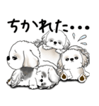 シーズー犬たち 2025 「シーズーまみれ」（個別スタンプ：22）