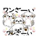 シーズー犬たち 2025 「シーズーまみれ」（個別スタンプ：23）
