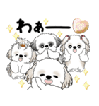 シーズー犬たち 2025 「シーズーまみれ」（個別スタンプ：24）