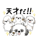 シーズー犬たち 2025 「シーズーまみれ」（個別スタンプ：28）