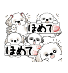 シーズー犬たち 2025 「シーズーまみれ」（個別スタンプ：31）