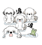 シーズー犬たち 2025 「シーズーまみれ」（個別スタンプ：37）