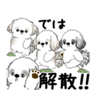 シーズー犬たち 2025 「シーズーまみれ」（個別スタンプ：39）