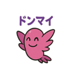 ショッキングピンクハチドリ（個別スタンプ：33）