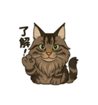 メインクーン デカ猫スタンプ（個別スタンプ：7）