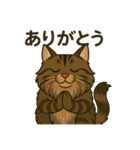 メインクーン デカ猫スタンプ（個別スタンプ：9）