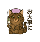 メインクーン デカ猫スタンプ（個別スタンプ：11）