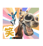 【競馬】競走馬と騎手2【あけおめ対応】（個別スタンプ：3）
