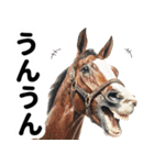 【競馬】競走馬と騎手2【あけおめ対応】（個別スタンプ：6）