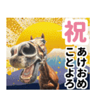 【競馬】競走馬と騎手2【あけおめ対応】（個別スタンプ：38）