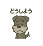 ごきげんシュナ 〜まいにち使える（個別スタンプ：6）