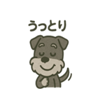 ごきげんシュナ 〜まいにち使える（個別スタンプ：13）