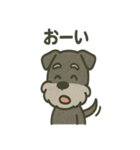 ごきげんシュナ 〜まいにち使える（個別スタンプ：16）
