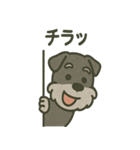 ごきげんシュナ 〜まいにち使える（個別スタンプ：17）