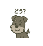ごきげんシュナ 〜まいにち使える（個別スタンプ：22）