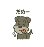 ごきげんシュナ 〜まいにち使える（個別スタンプ：27）