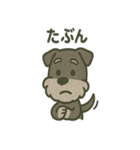 ごきげんシュナ 〜まいにち使える（個別スタンプ：29）
