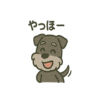 ごきげんシュナ 〜まいにち使える（個別スタンプ：31）