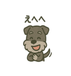 ごきげんシュナ 〜まいにち使える（個別スタンプ：33）