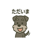 ごきげんシュナ 〜まいにち使える（個別スタンプ：36）