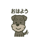 ごきげんシュナ 〜まいにち使える（個別スタンプ：37）