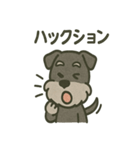 ごきげんシュナ 〜まいにち使える（個別スタンプ：38）