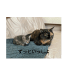 あいまりすたんぷ（個別スタンプ：7）